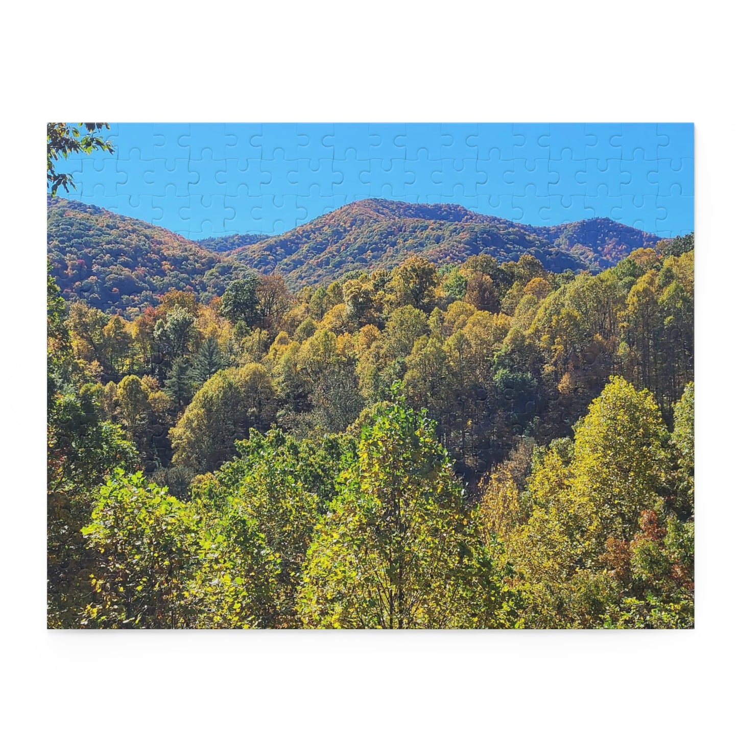 Mountain Views Puzzle