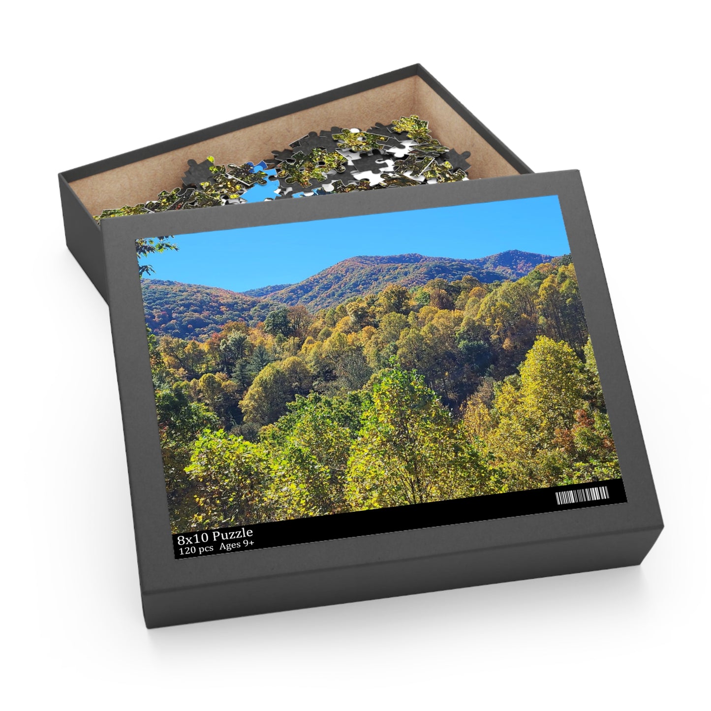 Mountain Views Puzzle