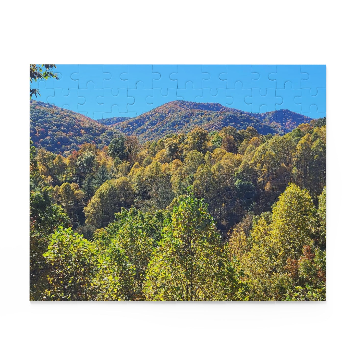 Mountain Views Puzzle